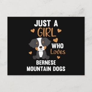 Bara en flicka som Kärlek Bernese Mountain Hund Hu Vykort