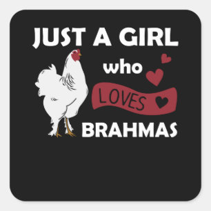 Bara en flicka som Kärlek brahmas Sweet Chickens Fyrkantigt Klistermärke