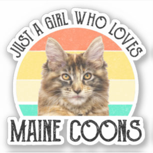 Bara en flicka som Kärlek Maine Coons Klistermärken