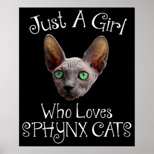 Bara en flicka som Kärlek Sphynx Cats Poster