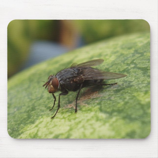 Bara en galen bild musmatta (Framsidan)