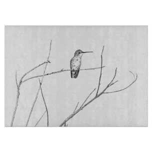 Bara en Hummingbird på en pipa
