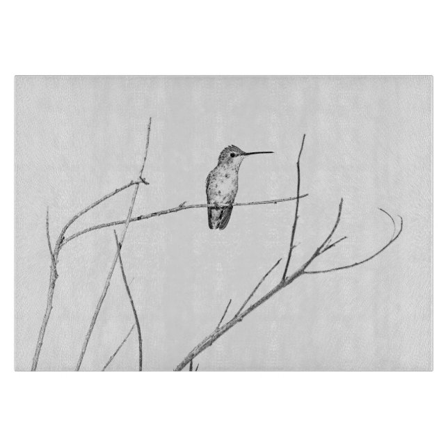 Bara en Hummingbird på en pipa (Framsidan)