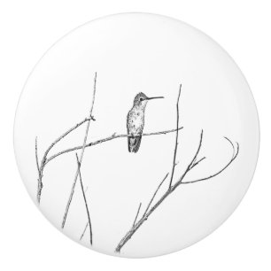 Bara en Hummingbird på en pipa Knopp
