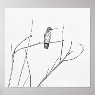Bara en Hummingbird på en pipa Poster