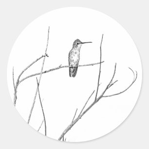 Bara en Hummingbird på en pipa Runt Klistermärke
