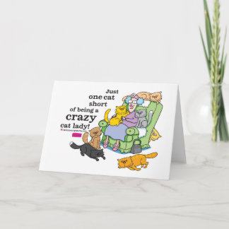 Bara en katt Kort om att vara en galen katt Dam
