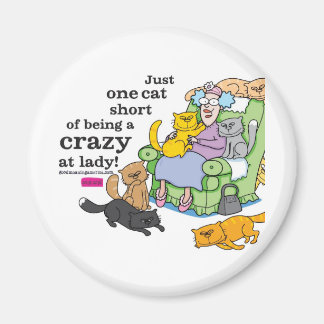 Bara en katt Kort om att vara en galen katt Dam Magnet