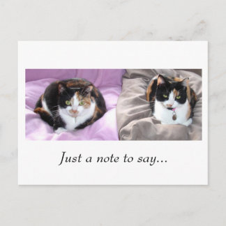 Bara en kommentar... vykort