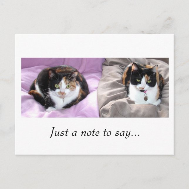 Bara en kommentar... vykort (Framsida)