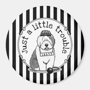 Bara en liten felfri gammal engelsk Sheepdog Grått Magnet