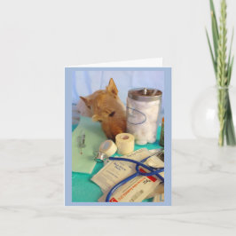 Bara en liten Pinch Kort