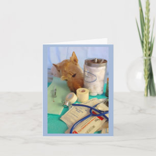 Bara en liten Pinch Kort