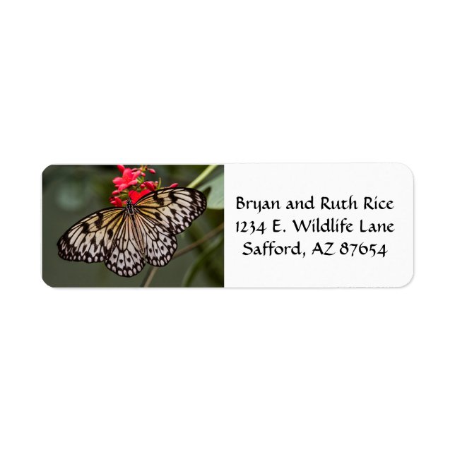 Bara en Papper Kite Butterfly Returadress Etikett (Framsidan)