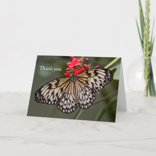 Bara en Papper Kite Butterfly Tack Kort