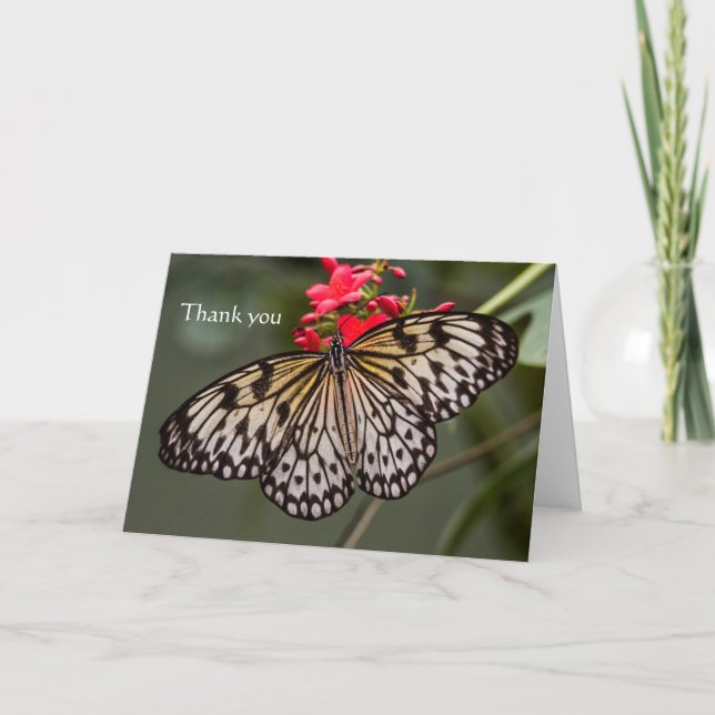 Bara en Papper Kite Butterfly Tack Kort (Framsida)