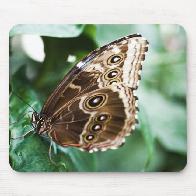 Bara en Peak Mousepad Musmatta (Framsidan)