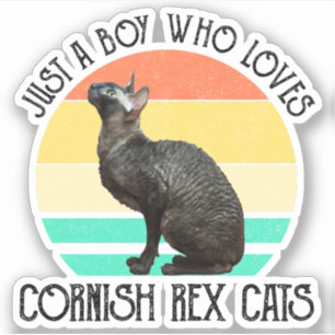 Bara en pojke som älskar Cornish Rex katter Klistermärken
