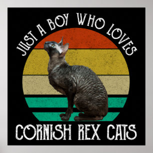 Bara en pojke som älskar Cornish Rex katter Poster