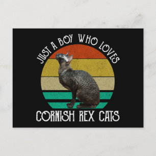 Bara en pojke som älskar Cornish Rex katter Vykort