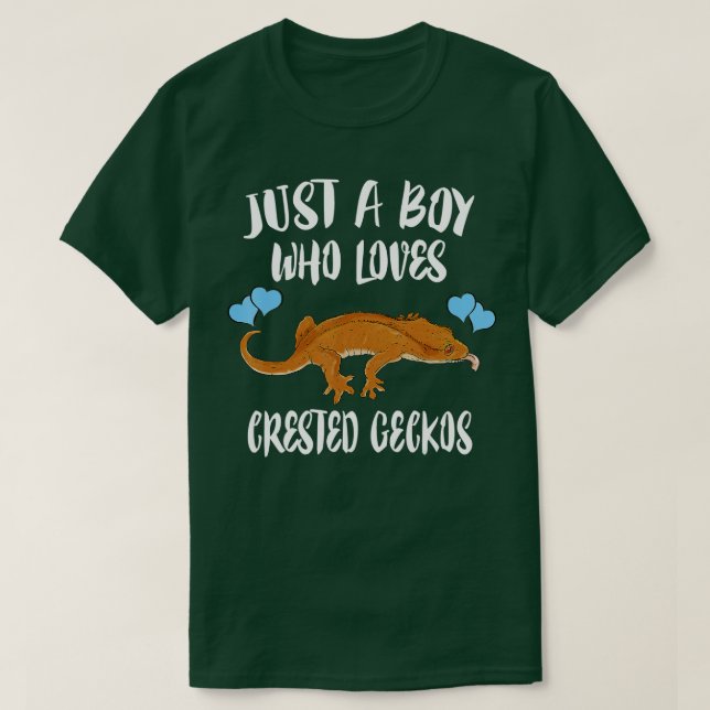 Bara en pojke som Kärlek bestred Geckos... T Shirt (Design framsida)