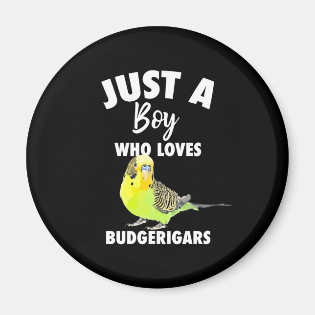 Bara en pojke som Kärlek Budgerigars Parrot Magnet (Framsidan)