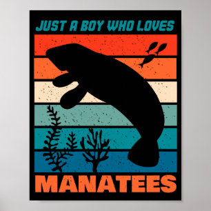 Bara en pojke som Kärlek Manatees - Retro Animal Poster