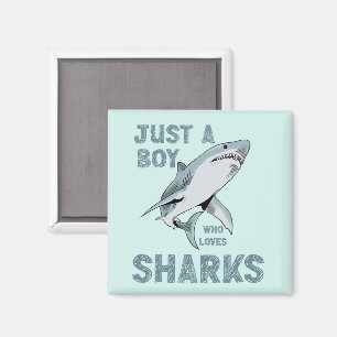 Bara en pojke som kärlek Shark Älskare Magnet