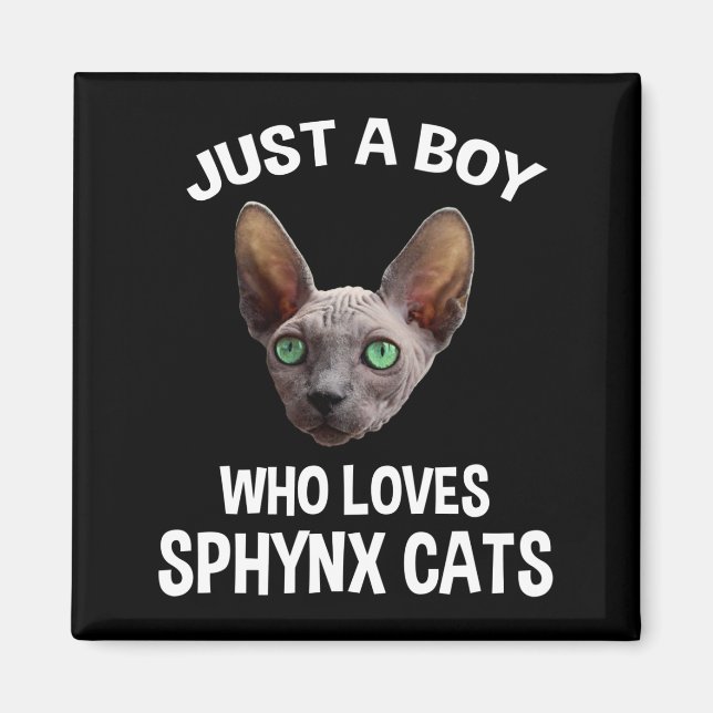 Bara en pojke som Kärlek Sphynx Cats Magnet (Framsidan)