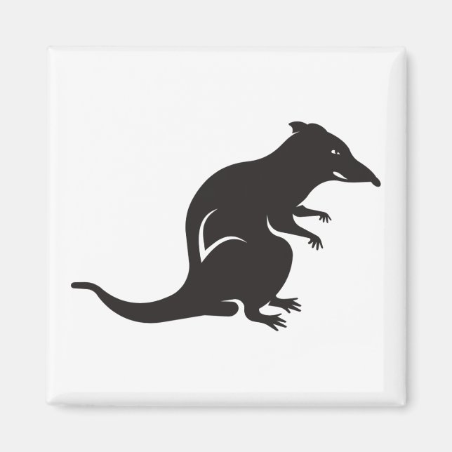 Bara en Råtta Magnet (Framsidan)
