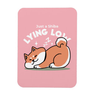 Bara en Shiba Ljuger lågt: Cute Shiba Inu Design Magnet