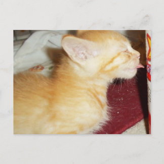 BARA EN SLICKAR VYKORT