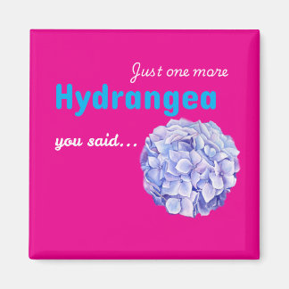 Bara en till hortensia magnet - varmröd
