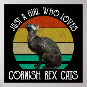 Bara en tjej som älskar Cornish Rex katter Poster