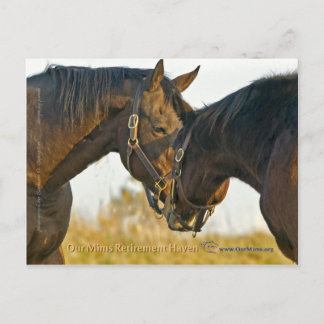 Bara en Touch Vykort