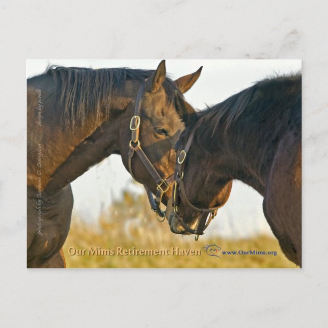 Bara en Touch Vykort (Framsida)