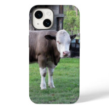 Bara ett litet telefonärende för Bull