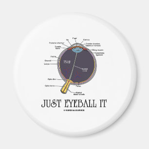 Bara Eyeball it (Öga anatomisk approximering säg Magnet