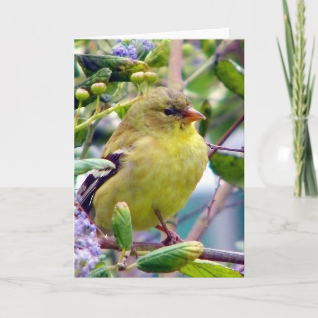 Bara för att kort (Framsida)