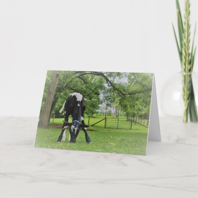 Bara för att kort (Framsida)