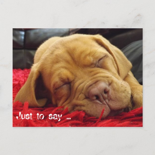 Bara för att säga ... vykort (Framsida)