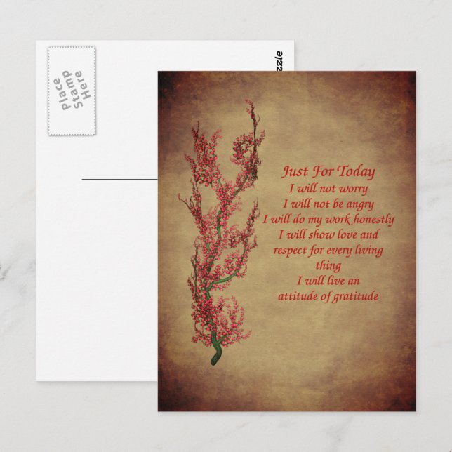 Bara för dagens Reiki-principer Inspirerande  Vykort (Fram/baksida)