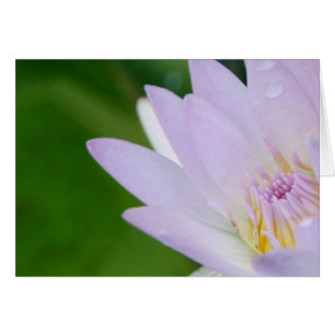 Bara för dig/Lotus i fotografi Hälsningskort