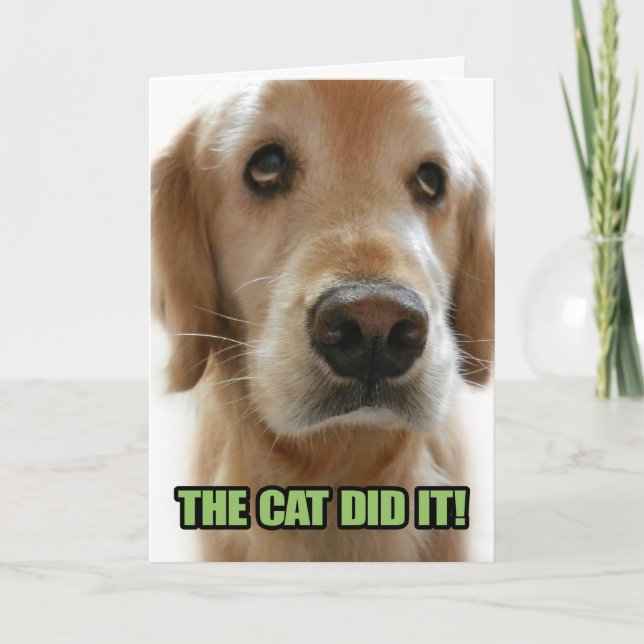 Bara för Roligten! Guilty Golden Retriever Apology Kort (Framsida)