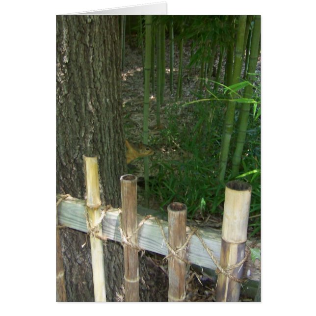 Bara för roligten, så blir det en mystisk ekorre. hälsningskort (Framsidan)