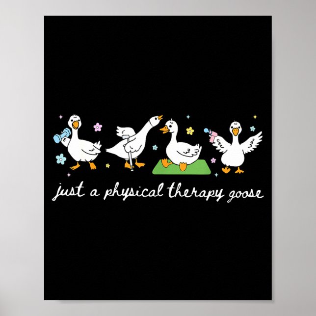 Bara Fysioterapi Goose Pt Fysisk Poster (Framsidan)