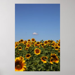 Bara gå förbi poster