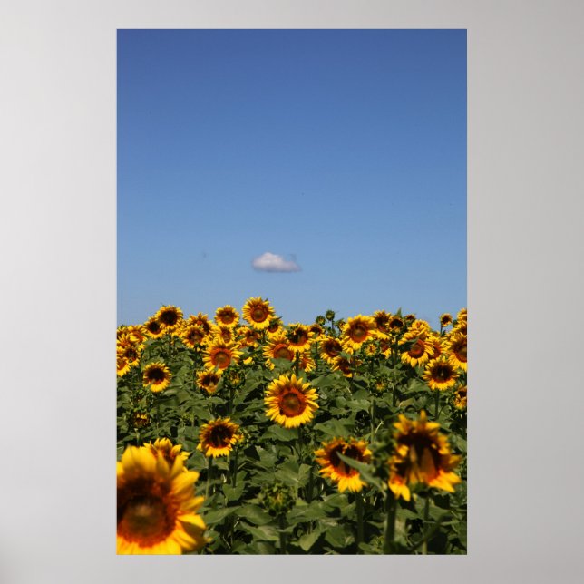 Bara gå förbi poster (Framsidan)