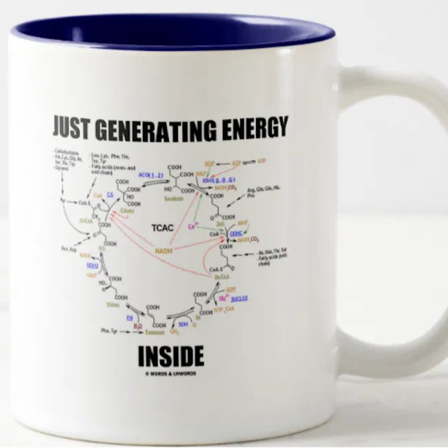 Bara Genererar Energi Inuti (Krebs-cykeln) Två-Tonad Mugg (No need to be a biochemist to enjoy this Krebs cycle mug that says "Just Generating Energy Inside")
