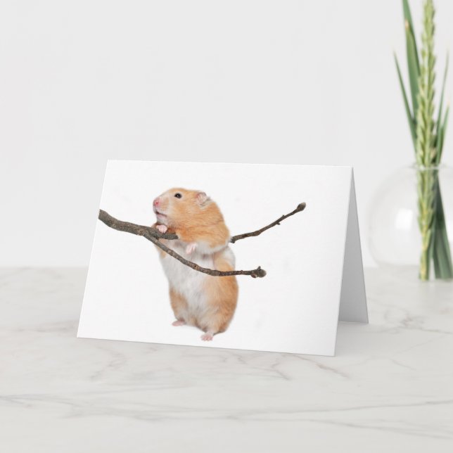 bara hängande runt kort (Framsida)